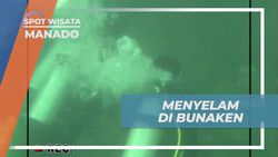 Menyelam di Bunaken dan Menikmati Keindahan Bawah Laut yang Memesona, Manado 