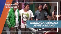 Mempelajari Beragam Jenis Kerang dan Membuat Kerajinan dari Kerang di Sumbawa  