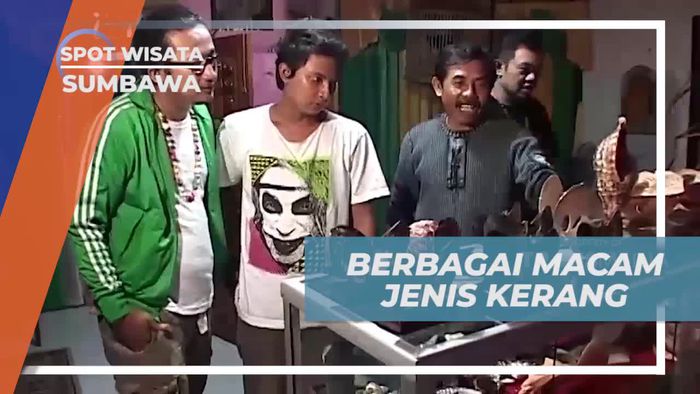Mempelajari Beragam Jenis Kerang dan Membuat Kerajinan dari Kerang di Sumbawa  