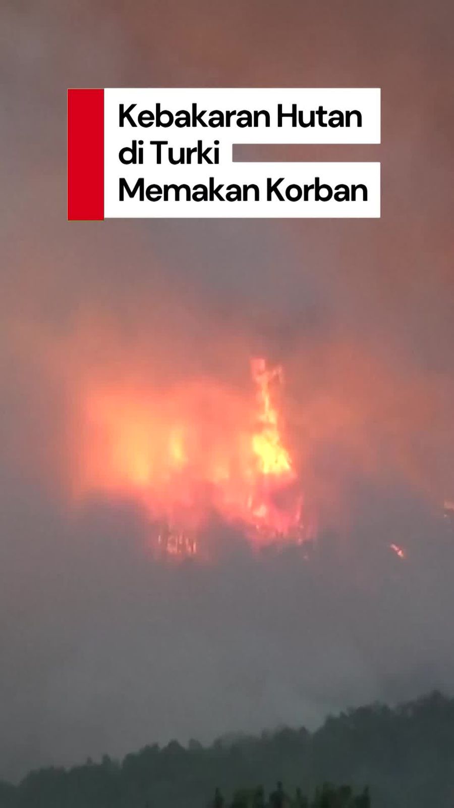 Video: 10 Petugas Damkar Tewas Saat Padamkan Kebakaran Hutan di Turki