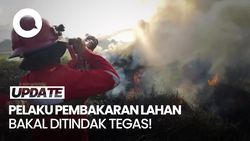 Video: Polda Sumsel Bakal Tindak Tegas Pelaku yang Sengaja Bakar Hutan