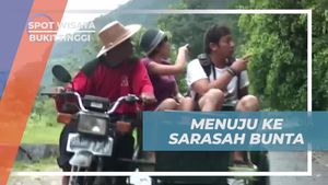 Mengunjungi Air Terjun Sarasah Bunta yang Menyegarkan di Bukittinggi  