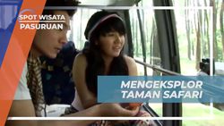  Menjelajahi Keindahan Taman Safari dan Satwa di Pasuruan  
