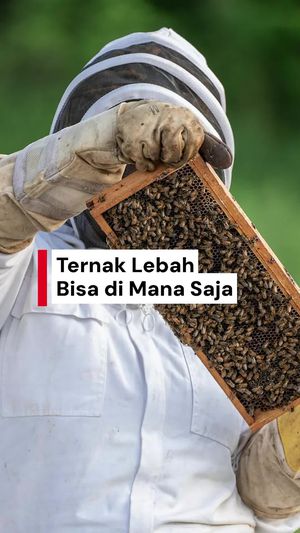 Video: Yang Perlu Diperhatikan Kalau Kamu Mau Jadi Peternak Lebah