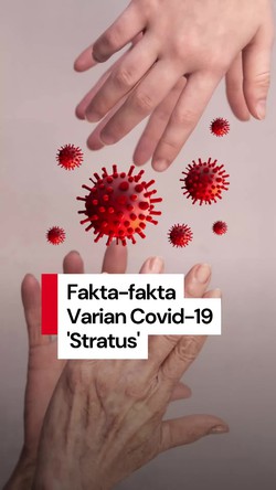 Video: Waduh! Varian Covid-19 Stratus Mendominasi RI, Apakah Berbahaya?