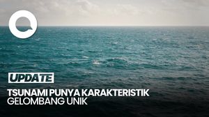 Video: Alasan Peringatan Dini Tsunami di RI Belum Dicabut