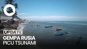 Video: Tsunami Terdeteksi di Sejumlah Wilayah RI, Paling Tinggi 20 Cm