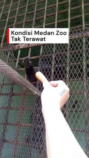 Video: Heboh Kondisi Kandang Medan Zoo Viral Tak Terawat