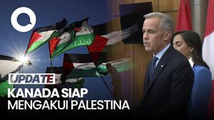 Video: Kanada Akan Akui Palestina Pada Pertemuan PBB September Mendatang