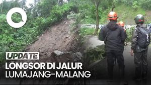 Video: Longsor-Pohon Tumbang Tutup Jalur Lintas Selatan Lumajang-Malang