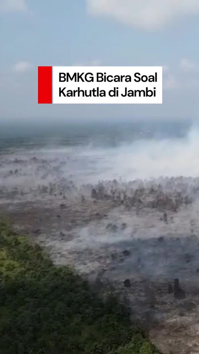 Video BMKG soal Karhutla Jambi: Secara Alamiah Semestinya Tak Terbakar