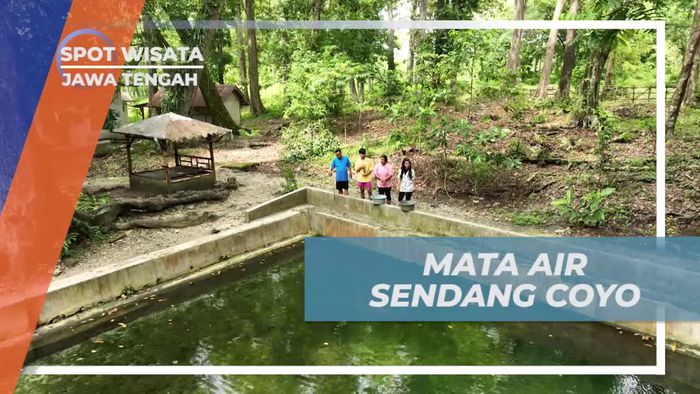 Menjelajahi Keindahan Mata Air Sendang Coyo di Jawa Tengah  