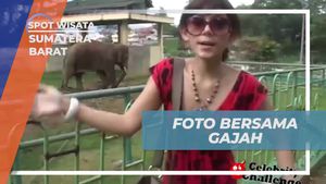 Berfoto Bersama Gajah dan Menikmati Keindahan Kebun Binatang di Sumatera Barat  