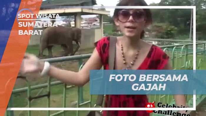 Berfoto Bersama Gajah dan Menikmati Keindahan Kebun Binatang di Sumatera Barat  