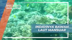 Menyelam dan Menikmati Keindahan Bawah Laut di Spot Mansuar, Raja Ampat  