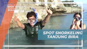 Melakukan Kegiatan Snorkeling di Spot RR Tanjung Bira, Bulukumba  