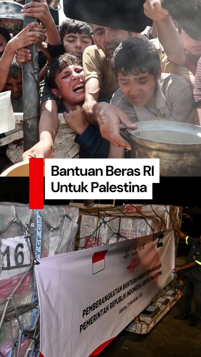 Video Indonesia Akan Kirim 10.000 Ton Beras ke Palestina
