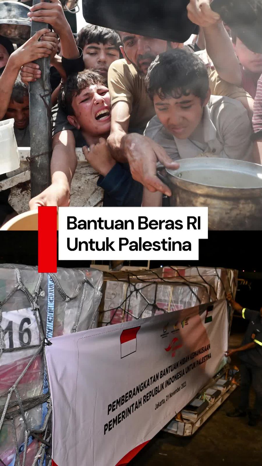 Video Indonesia Akan Kirim 10.000 Ton Beras ke Palestina