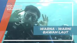 Menyelam dan Menikmati Keindahan Warna-Warni Bawah Laut di Sulawesi