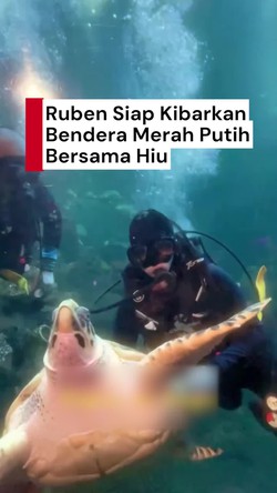Video: Persiapan Ruben Onsu Kibarkan Bendera Merah Putih Bersama Hiu