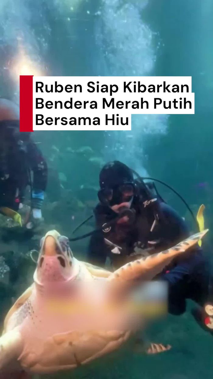 Video: Persiapan Ruben Onsu Kibarkan Bendera Merah Putih Bersama Hiu