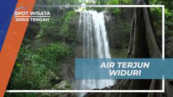 Menjelajahi Keindahan Air Terjun Widuri dan Melakukan Kegiatan Seru di Jawa Tengah  