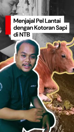 Video: Menjajal Belulut, Tradisi Desa Sade NTB Pel Lantai dengan Kotoran Sapi