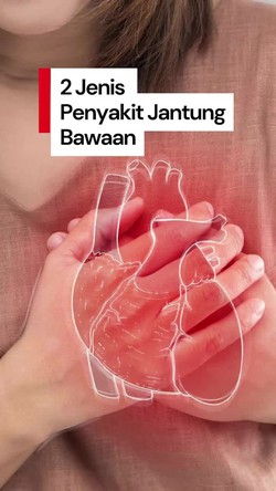 Video Mengenal Dua Tipe Penyakit Jantung Bawaan