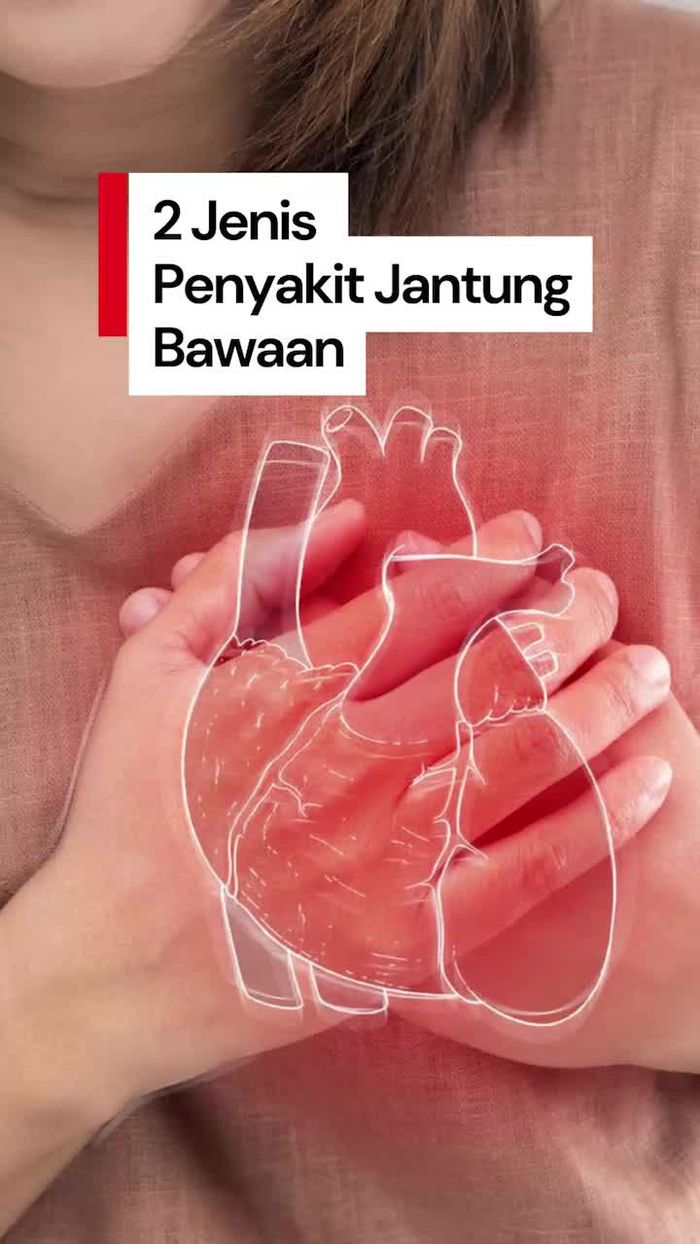 Video Mengenal Dua Tipe Penyakit Jantung Bawaan