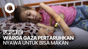 Video: Cerita Warga Gaza Pertaruhkan Nyawa untuk Bisa Makan