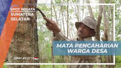 Mengungkap Mata Pencaharian Warga Desa Burai Sumatera Selatan sebagai Nelayan dan Petani Karet  