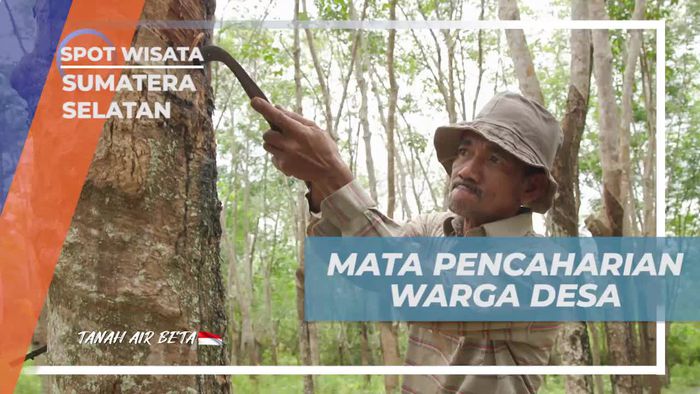 Mengungkap Mata Pencaharian Warga Desa Burai Sumatera Selatan sebagai Nelayan dan Petani Karet  
