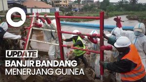 Video: Parahnya Banjir Bandang Guinea, 15 Orang Tewas-138 Rumah Rusak