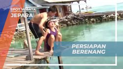 Mencoba Berenang Bersama Ikan Hiu Jinak di Perairan Karimun Jawa  