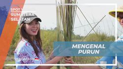 Mengenal Tanaman Purun yang Liar dan Berongga di Desa Burai Sumatera Selatan  