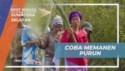 Memanen Purun Bersama Warga Desa Burai Sumatera Selatan Setelah Naik Perahu  