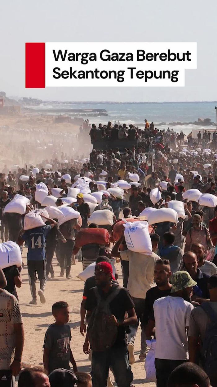 Video Warga Gaza Berjibaku Berebut Sekantong Tepung Demi Bertahan Hidup