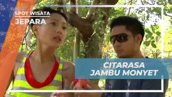 Mencicipi Rasa Jambu Monyet dan Bijinya yang Berbintik di Karimun Jawa  
