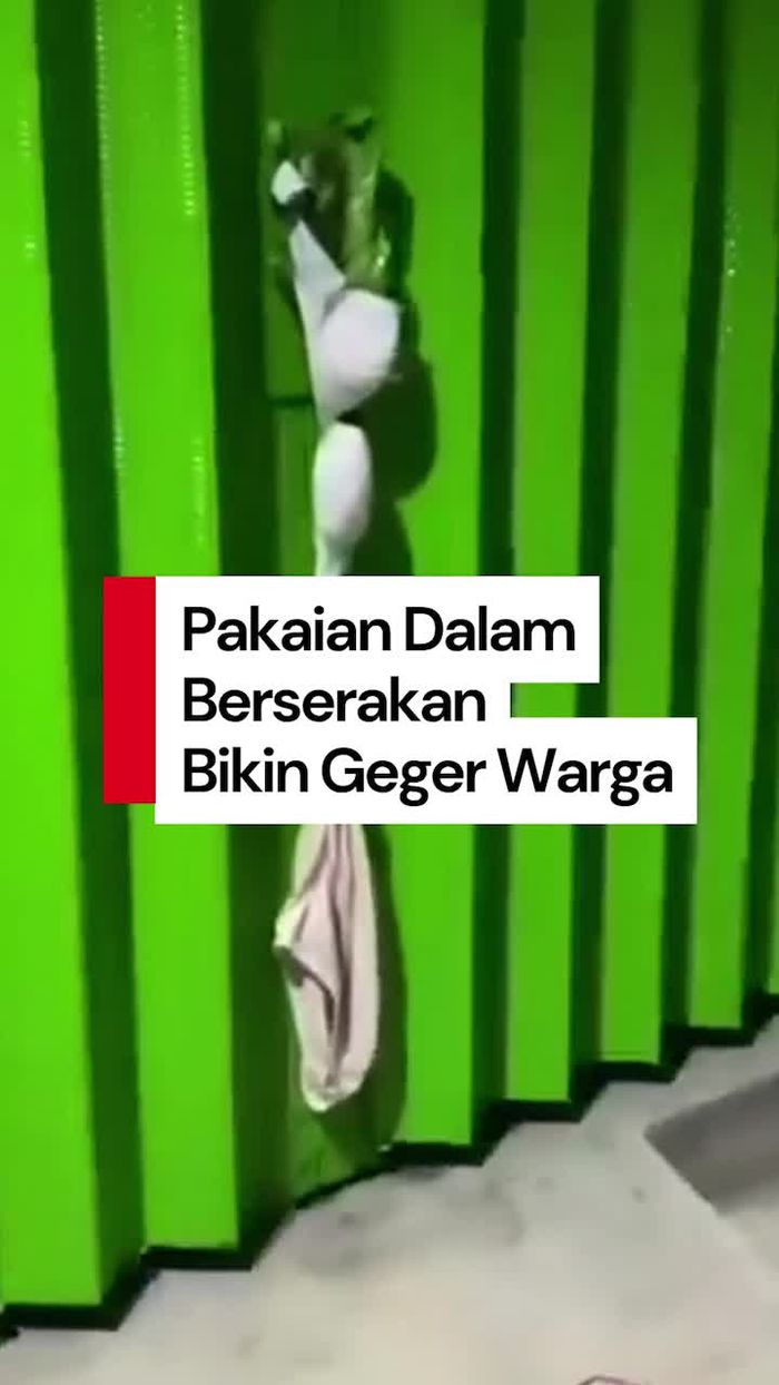 Video: Geger Pakaian Dalam Wanita Berserakan di Jalan-Pepohonan di Pekalongan