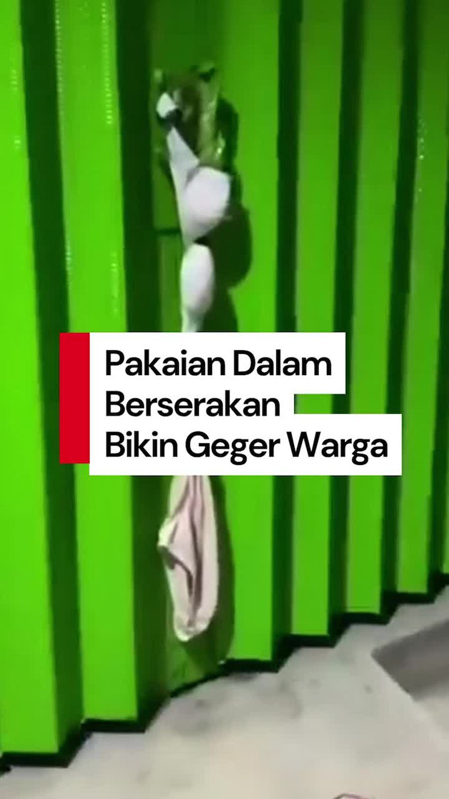Video: Geger Pakaian Dalam Wanita Berserakan di Jalan-Pepohonan di Pekalongan