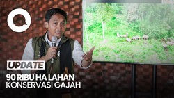 Video Prabowo Siapkan 90 Ribu Hektare Lahan Konservasi Gajah di Aceh