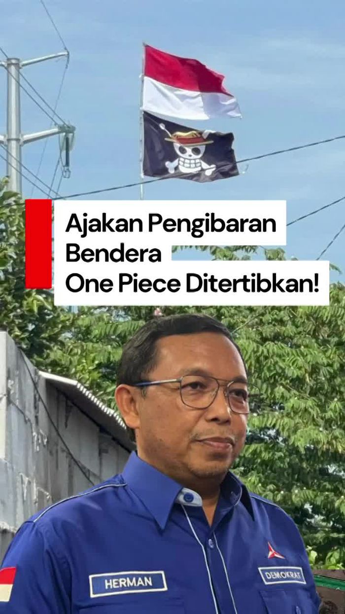 Video: Demokrat Prihatin soal Ajakan Pengibaran Bendera One Piece Jelang HUT RI