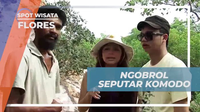 Berbincang tentang Komodo dan Melihat Langsung Makhluk Raksasa di Flores