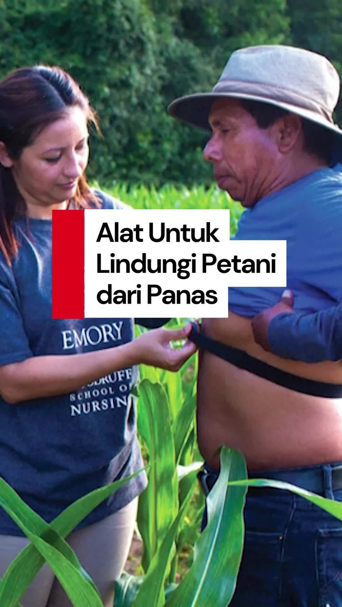 Video: Melihat Alat yang Bisa Lindungi Petani dari Kematian Akibat Panas