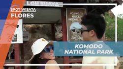 Menemukan Anak Penyu yang Menggemaskan di Pulau Berau 