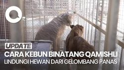 Video: Cara Kebun Binatang Qamishli Lindungi Hewan dari Gelombang Panas