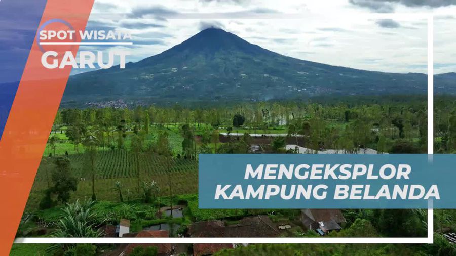 Menjelajahi Pesona Kampung Belanda dan Interaksi dengan Domba Garut di Garut  