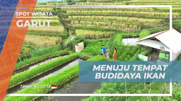 Mengunjungi Tempat Budidaya Ikan dan Menikmati Keindahan Alam di Garut  