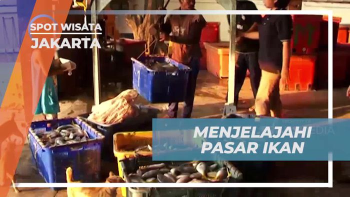 Menjelajah Pasar Ikan dan Berbelanja Ikan Segar di Jakarta  