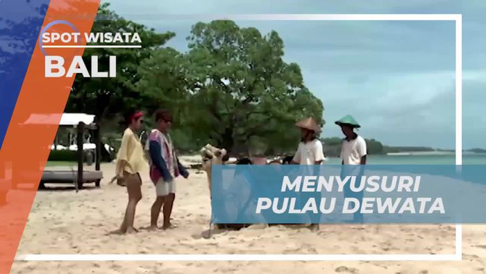 Menyaksikan Keindahan Pulau Dewata dan Menikmati Naik Unta di Bali  